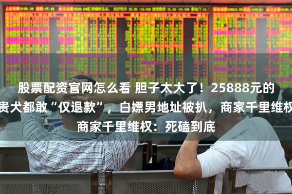 股票配资官网怎么看 胆子太大了！25888元的马尔济斯名贵犬都敢“仅退款”，白嫖男地址被扒，商家千里维权：死磕到底