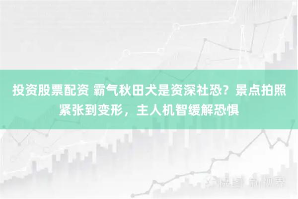 投资股票配资 霸气秋田犬是资深社恐？景点拍照紧张到变形，主人机智缓解恐惧