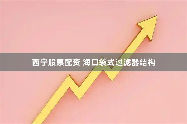 西宁股票配资 海口袋式过滤器结构