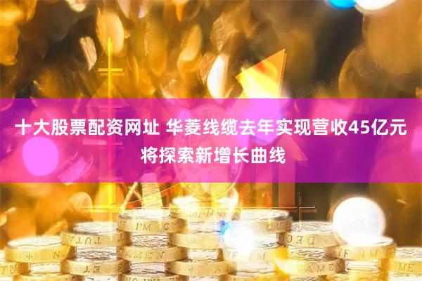 十大股票配资网址 华菱线缆去年实现营收45亿元 将探索新增长曲线